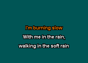 I'm burning slow

With me in the rain,

walking in the soft rain