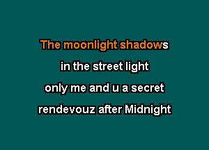 The moonlight shadows
in the street light

only me and u a secret

rendevouz after Midnight