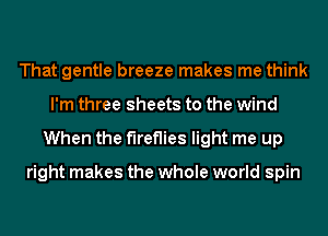 That gentle breeze makes me think
I'm three sheets to the wind
When the fireflies light me up

right makes the whole world spin