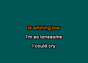 is whining low

I'm so lonesome

I could cry