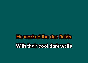 He worked the rice fields

With their cool dark wells