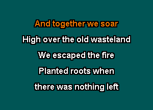 And together we soar
High over the old wasteland
We escaped the fire

Planted roots when

there was nothing left