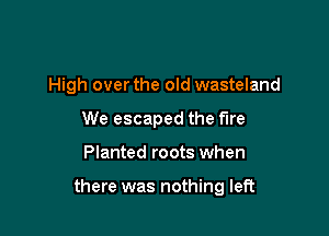 High over the old wasteland
We escaped the fire

Planted roots when

there was nothing left