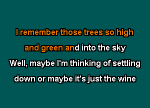 I remember those trees so high
and green and into the sky
Well, maybe I'm thinking of settling

down or maybe it's just the wine