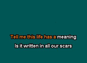 Tell me this life has a meaning

Is it written in all our scars