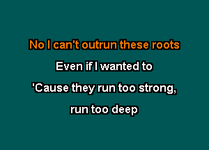 No I can't outrun these roots

Even ifl wanted to

'Cause they run too strong,

run too deep