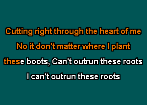 Cutting right through the heart of me
No it don't matter where I plant
these boots, Can't outrun these roots

I can't outrun these roots