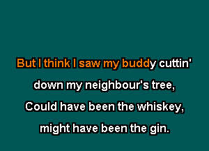 But I think I saw my buddy cuttin'

down my neighbour's tree,

Could have been the whiskey,

might have been the gin.