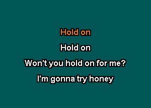 Hold on
Hold on

Won't you hold on for me?

I'm gonna try honey