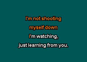 I'm not shooting
myself down

I'm watching,

just learning from you.