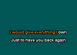 lwould give everything I own

Just to have you back again