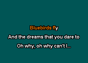 Bluebirds fly

And the dreams that you dare to

Oh why, oh why can't I...
