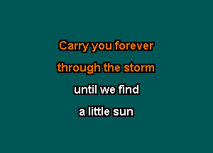 Carry you forever

through the storm

until we find

a little sun