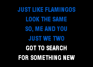 JUST LIKE FLAMINGOS
LOOK THE SAME
80, ME AND YOU

JUST WE TWO
GOT TO SEARCH

FOR SOMETHING HEW l