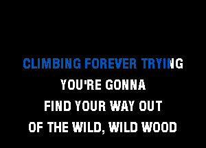CLIMBING FOREVER TRYING
YOU'RE GONNA
FIND YOUR WAY OUT
OF THE WILD, WILD WOOD