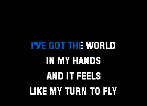 I'VE GOT THE WORLD

IN MY HANDS
AND IT FEELS
LIKE MY TURN T0 FLY