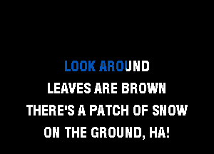 LOOK AROUND
LEAVES ARE BROWN
THERE'S A PATCH 0F SHOW
ON THE GROUND, HA!