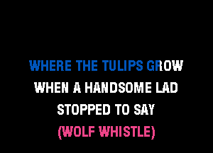 IWHERE THE TULIPS GROW
WHEN A HANDSOME LAD
STOPPED TO SAY
(WOLF WHISTLE)