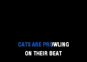 CATS ARE PROWLIHG
ON THEIR BEAT