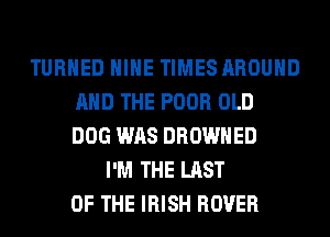 TURNED HIHE TIMES AROUND
AND THE POOR OLD
DOG WAS DROWHED
I'M THE LAST
OF THE IRISH ROVER