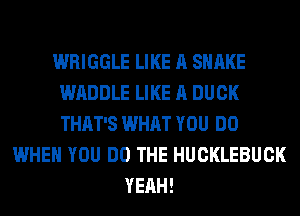 WRIGGLE LIKE A SHAKE
WADDLE LIKE A DUCK
THAT'S WHAT YOU DO

WHEN YOU DO THE HUCKLEBUCK
YEAH!