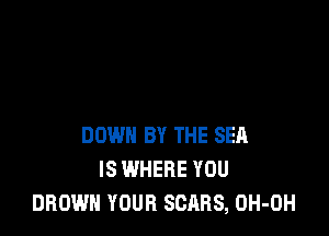 DOWN BY THE SEA
IS WHERE YOU
BROWN YOUR SCARS, OH-OH