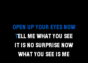 OPEN UP YOUR EYES HOW
TELL ME WHAT YOU SEE
IT IS NO SURPRISE NOW

WHAT YOU SEE IS ME I