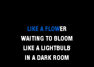 LIKE A FLOWER

WAITING T0 BLOOM
LIKE A LIGHTBULB
IN A DARK BOOM