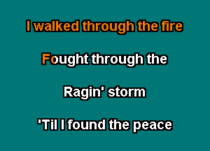 I walked through the fire
Fought through the

Ragin' storm

'Til I found the peace