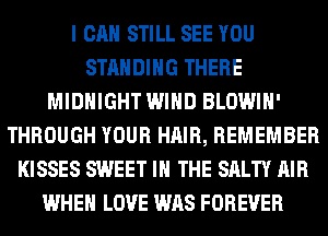 I CAN STILL SEE YOU
STANDING THERE
MIDNIGHT WIND BLOWIH'
THROUGH YOUR HAIR, REMEMBER
KISSES SWEET IN THE SALTY AIR
WHEN LOVE WAS FOREVER