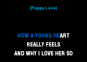 (Puppy Love)

HOW A YOUNG HEART
REALLY FEELS
AND WHY I LOVE HER SO