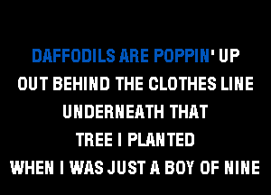 DAFFODILS ARE POPPIH' UP
OUT BEHIND THE CLOTHES LIHE
UHDERHEATH THAT
TREE I PLAHTED
WHEN I WAS JUST A BOY OF MINE