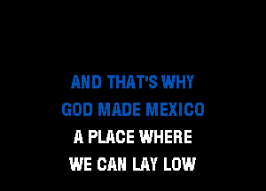 AND THAT'S WHY

GOD MADE MEXICO
A PLACE WHERE
WE CAN LAY LOW