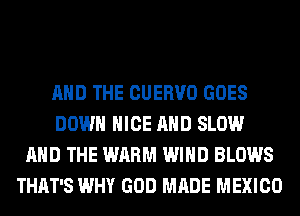 AND THE CUERVO GOES
DOWN NICE AND SLOW
AND THE WARM WIND BLOWS
THAT'S WHY GOD MADE MEXICO