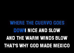 WHERE THE CUERVO GOES
DOWN NICE AND SLOW
AND THE WARM WINDS BLOW
THAT'S WHY GOD MADE MEXICO