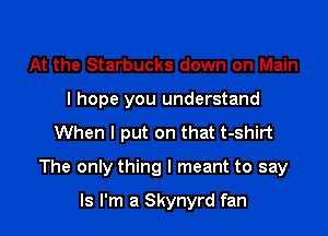 At the Starbucks down on Main

I hope you understand

When I put on that t-shirt
The only thing I meant to say
Is I'm a Skynyrd fan