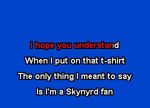 I hope you understand

When I put on that t-shirt
The only thing I meant to say
Is I'm a Skynyrd fan