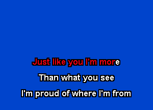 Just like you I'm more

Than what you see

I'm proud of where I'm from