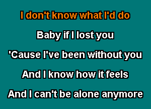 I don't know what I'd do
Baby ifl lost you
'Cause I've been without you
And I know how it feels

And I can't be alone anymore