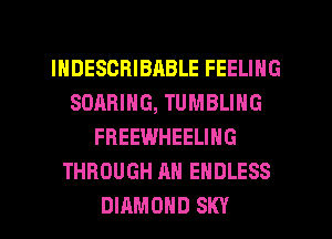 INDESCRIBABLE FEELING
SOARING, TUMBLING
FREEWHEELING
THROUGH AN ENDLESS
DIAMOND SKY