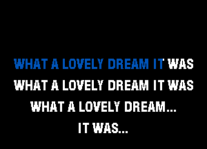 WHAT A LOVELY DREAM IT WAS
WHAT A LOVELY DREAM IT WAS
WHAT A LOVELY DREAM...

IT WAS...