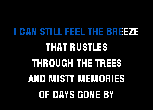 I CAN STILL FEEL THE BREEZE
THAT RUSTLES
THROUGH THE TREES
AND MISTY MEMORIES
0F DAYS GONE BY