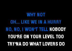 WHY NOT
0H... LIKE WE IN A HURRY
H0, NO, I WON'T TELL NOBODY
YOU'RE ON YOUR LEVEL T00
TRY'HA DO WHAT LOVERS DO