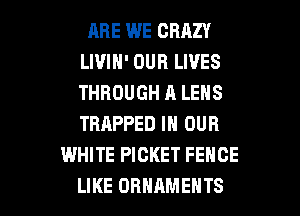 RBE WE CRAZY
LIVIH' OUR LIVES
THBOUGHALENS
TRAPPED IN OUR

WHITE PICKET FENCE

LIKE ORNAMENTS l