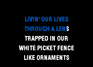 LIVIH' OUR LIVES

THBOUGHALENS

TRAPPED IN OUR
WHITE PICKET FENCE

LIKE ORNAMENTS l