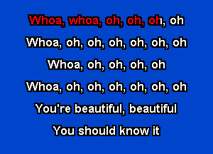 Whoa, whoa, oh, oh, oh, oh
Whoa, oh, oh, oh, oh, oh, oh
Whoa, oh, oh, oh, oh

Whoa, oh, oh, oh. oh, oh, oh

You're beautiful, beautiful

You should know it