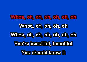 Whoa, oh, oh, oh, oh, oh, oh
Whoa, oh, oh, oh, oh

Whoa, oh, oh, oh. oh, oh, oh

You're beautiful, beautiful

You should know it