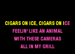 CIGARS 0 ICE, CIGARS 0 ICE
FEELIH' LIKE AN ANIMAL
WITH THESE CAMERAS
ALL IN MY GRILL