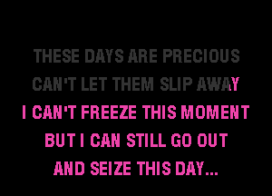 THESE DAYS ARE PRECIOUS
CAN'T LET THEM SLIP AWAY
I CAN'T FREEZE THIS MOMENT
BUTI CAN STILL GO OUT
AND SEIZE THIS DAY...