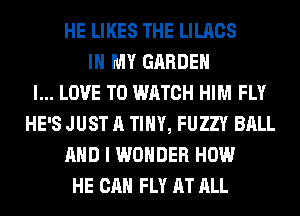 HE LIKES THE LILACS
IN MY GARDEN
I... LOVE TO WATCH HIM FLY
HE'S JUST A TINY, FUZZY BALL
AND I WONDER HOW
HE CAN FLY AT ALL